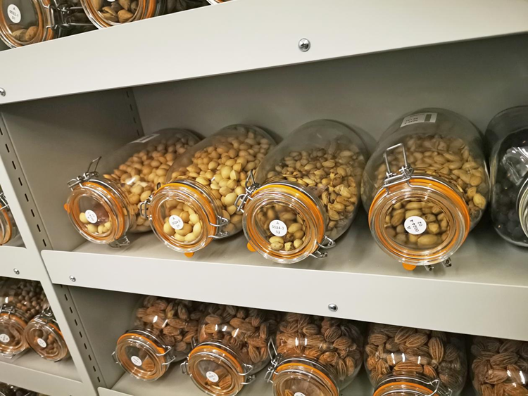 種子資源庫 種子資源庫